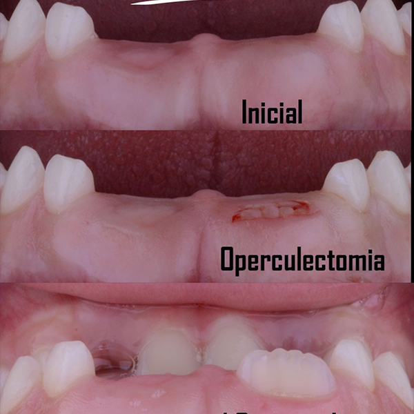 da7c75ab-04e5-4605-aa36-bdfbfeacf2c5 1